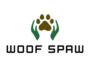 Logo Design by Creative Pencil