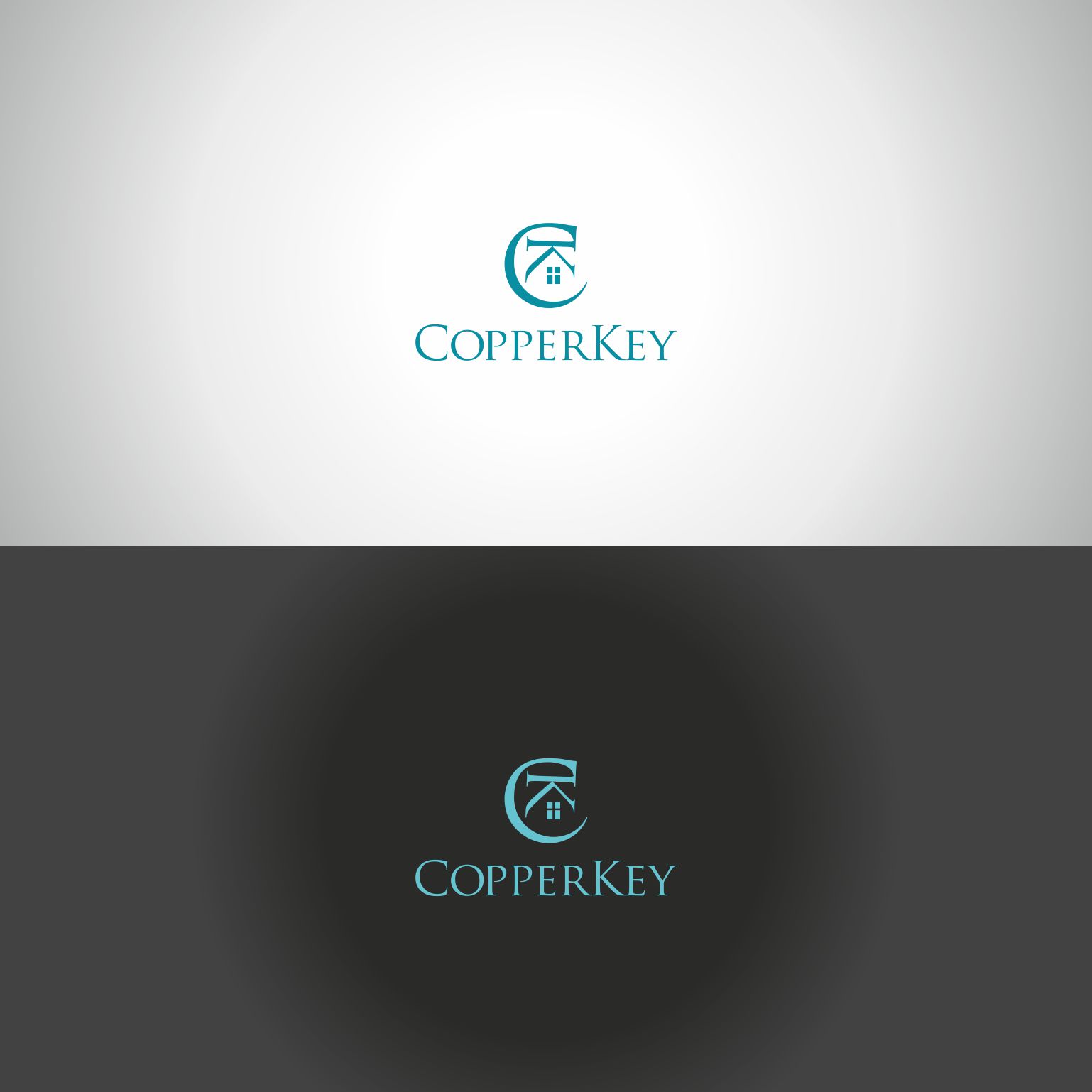 Logo Design by niki1 for this project | Design #22198589