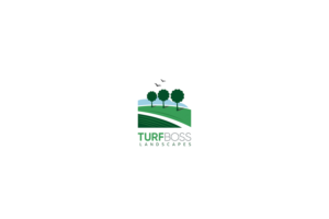 Logo Design by Wladimus