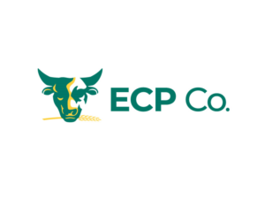 Logo Design by nSkill