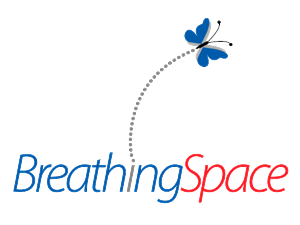 Logo Design by Spike