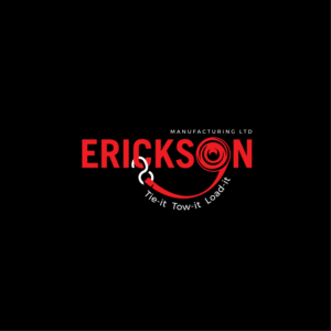 Logo Design by anizonestudio