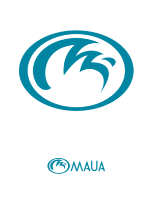 Logo Design by Sauher