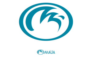 Logo Design by Sauher for this project | Design: #22173129