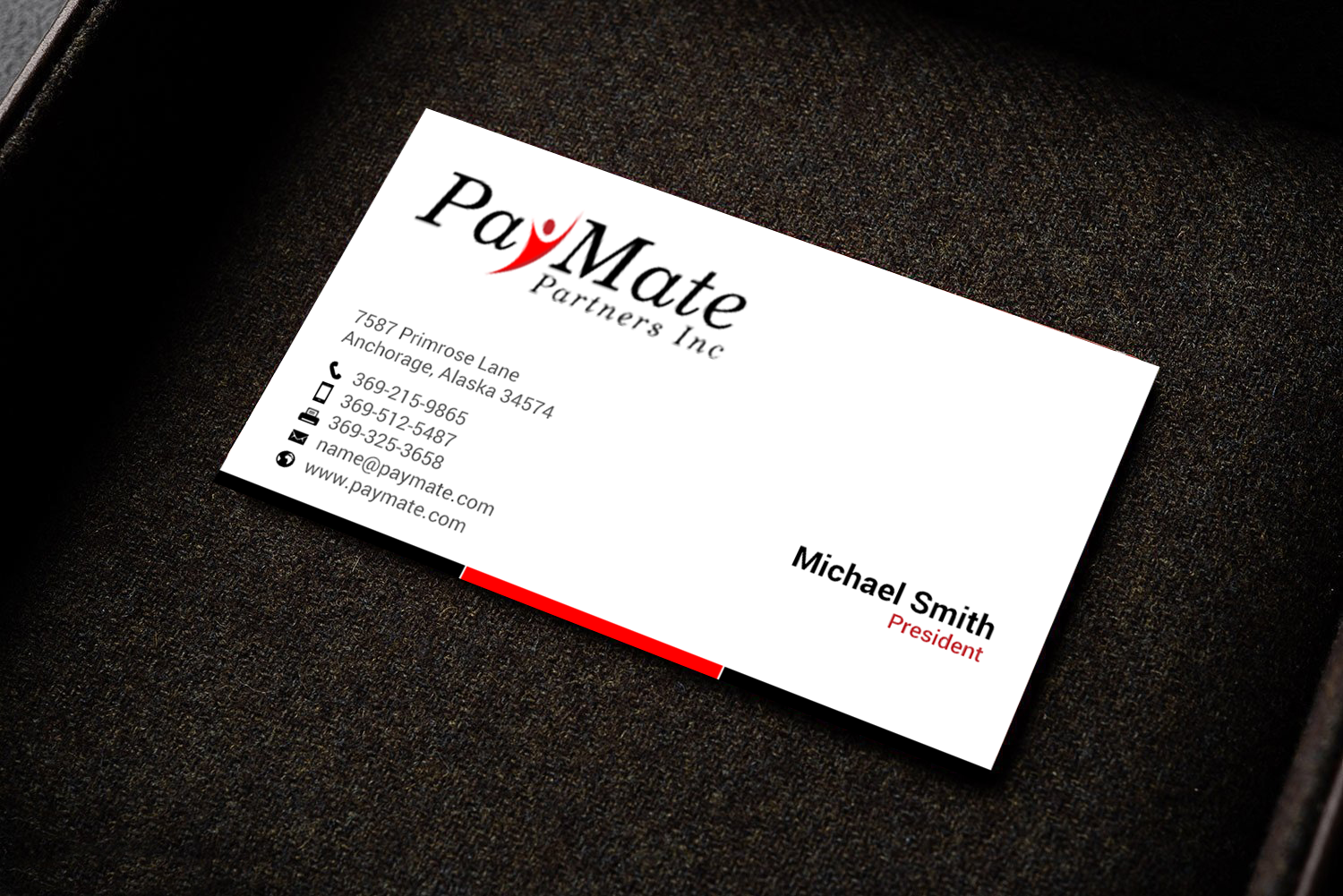 Business Card Design by chandrayaan.creative for PayMate Partners Inc | Design #22177897
