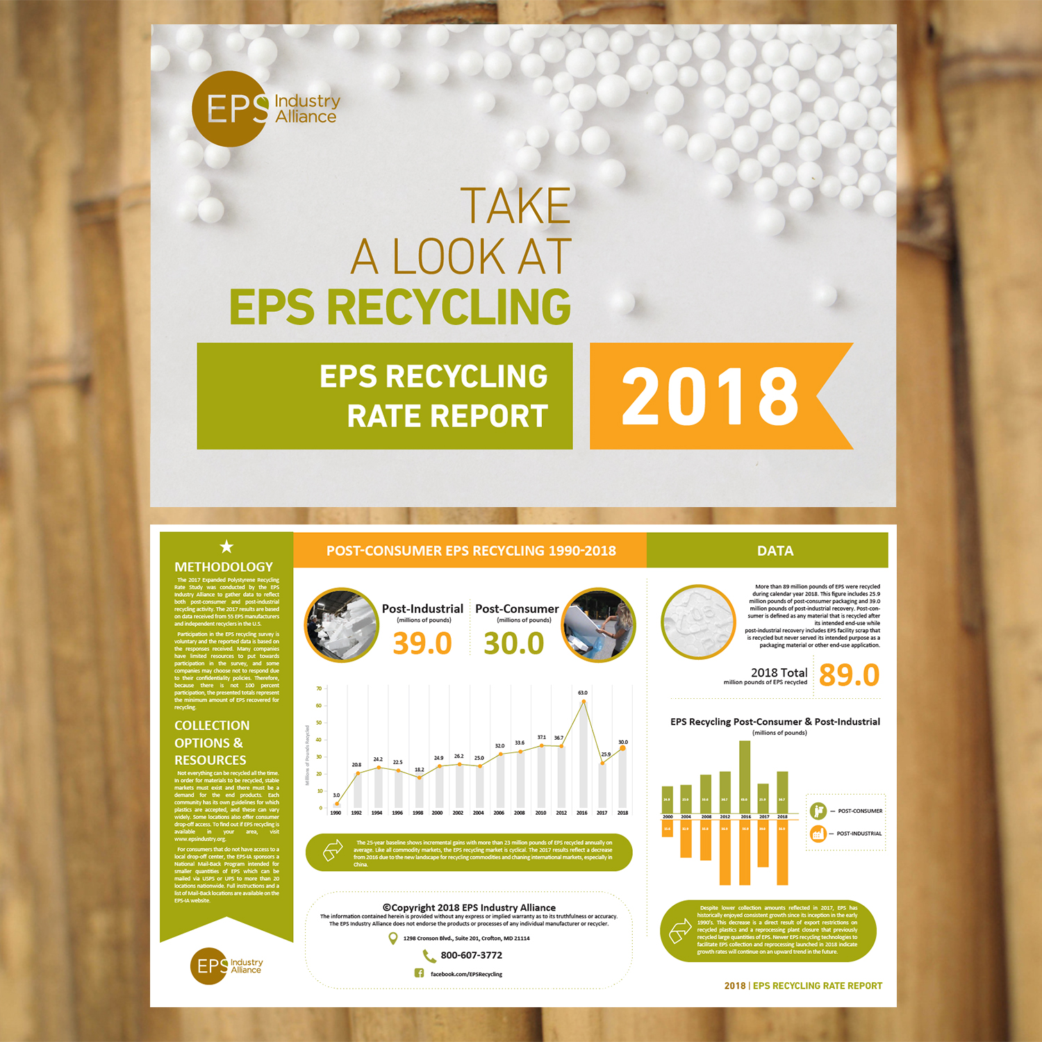 Graphic Design by BeeCrab Design for EPS-IA | Design #22208477