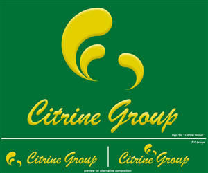 Logo Design by 512 design