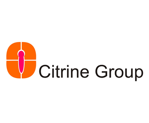 Logo-Design von Uyin für Citrine Group | Design: #2957892