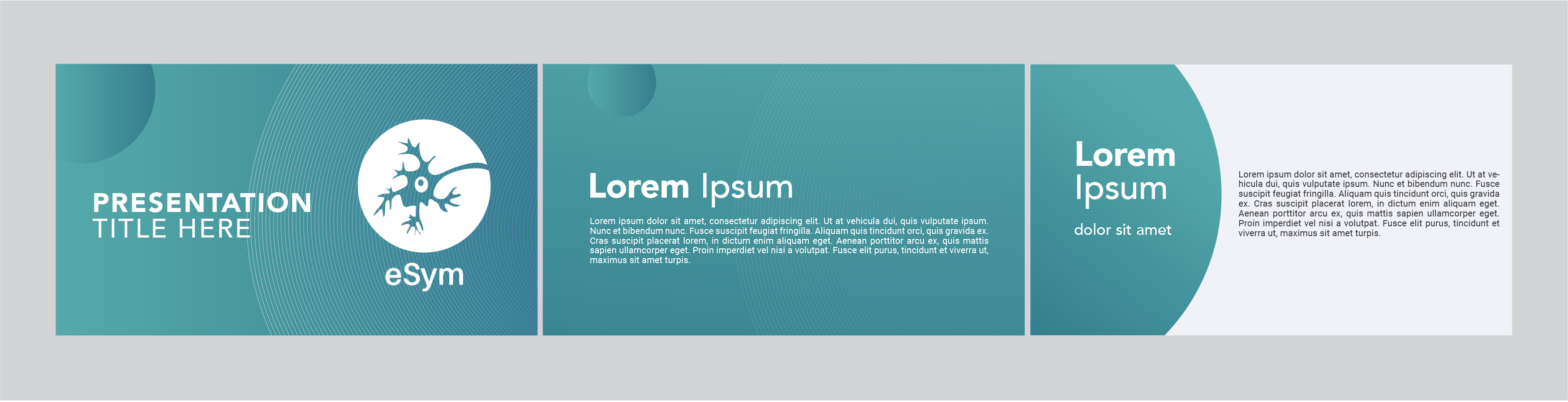 Graphic Design by desainerd for TESTUDO LOGISTICS | Design #22190157