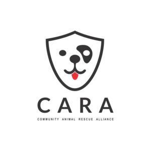 Logo Design by ipung_art