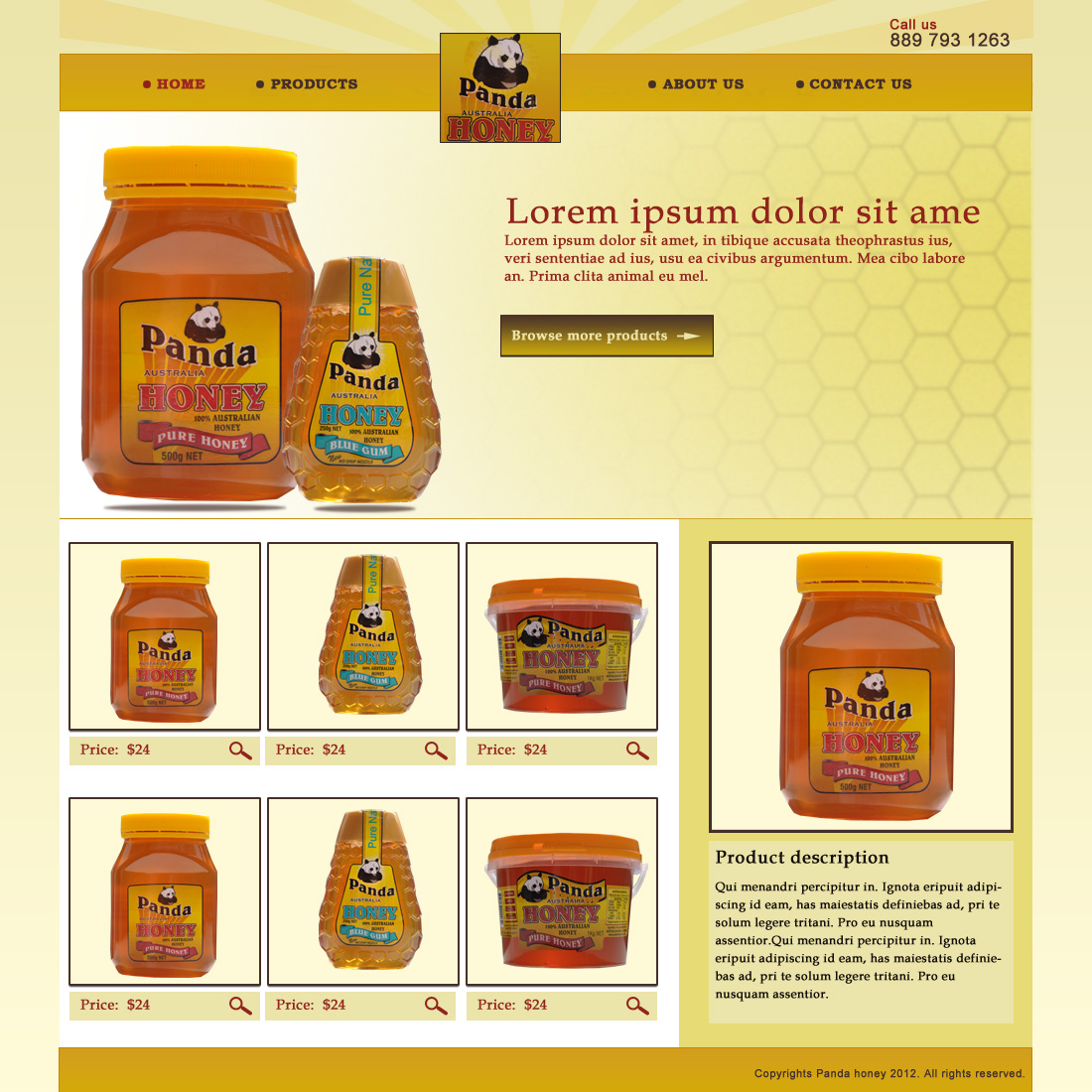 Web Design by Hetal  for this project | Design #719779