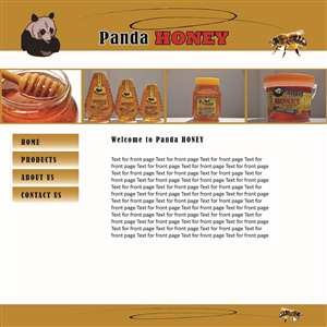 Web Design by NetworkSW Consulting