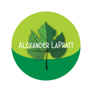 Logo Design by annelada96