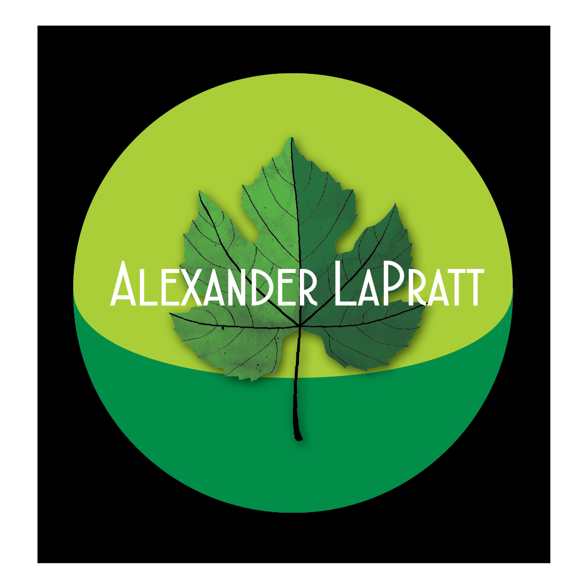 Logo Design by annelada96 for this project | Design #22193685