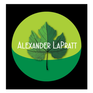 Logo Design by annelada96 for this project | Design: #22193685