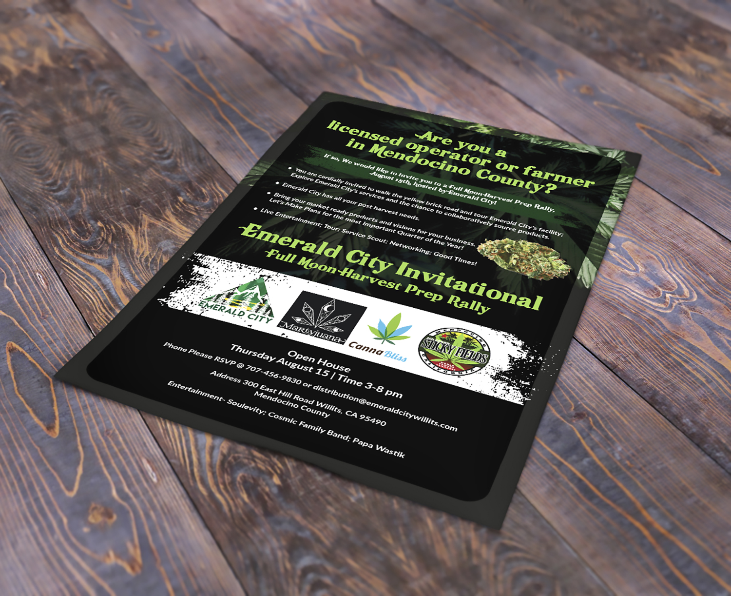 Flyer Design by Deziners Zone for Mendocino Conscious Endeavors  | Design #22184235