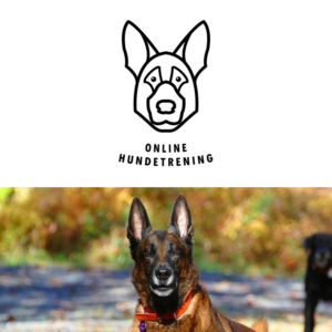 Logo Design by Mazen Shokair