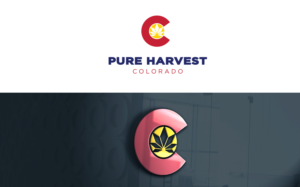 Logo Design by MT