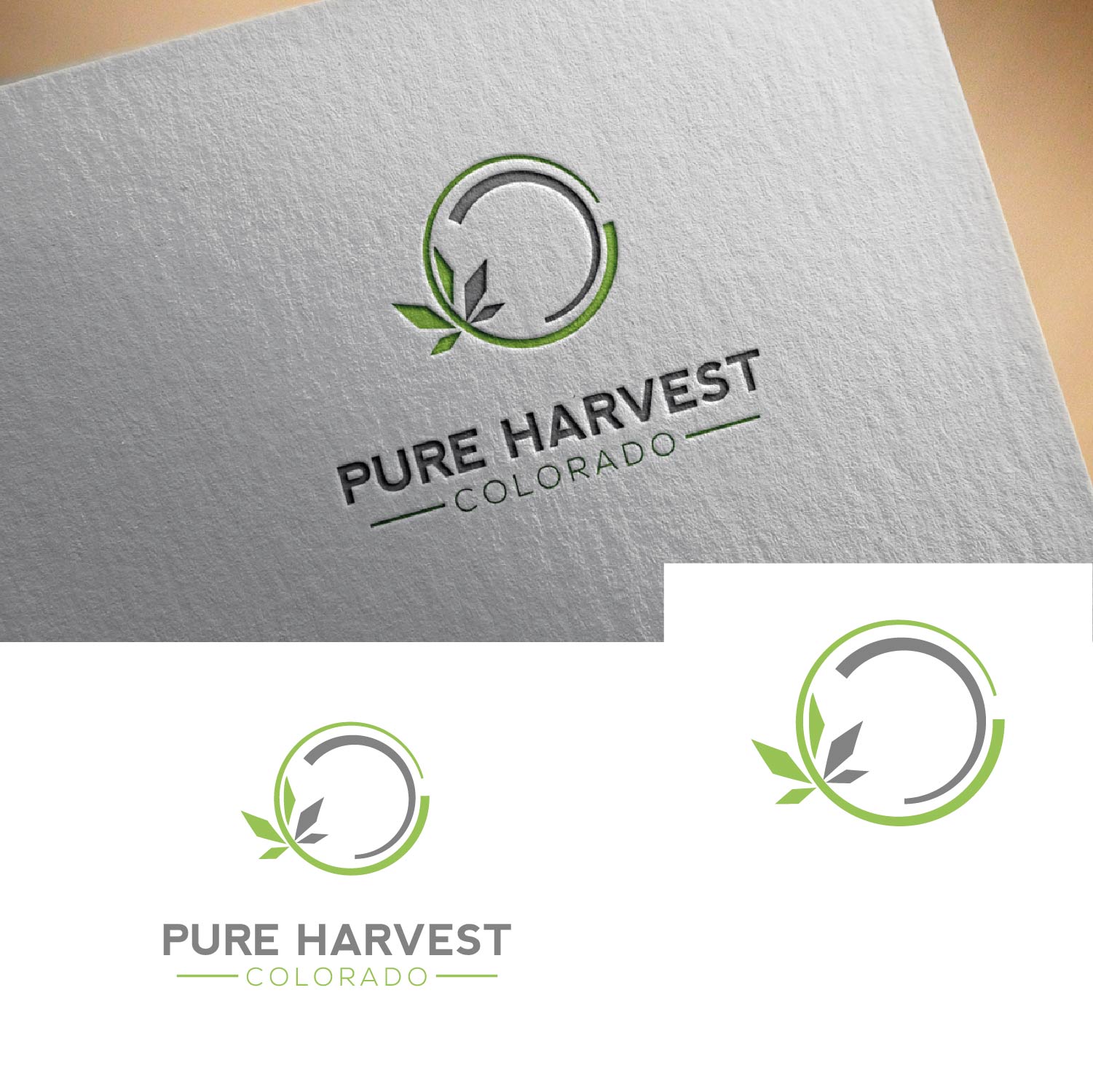 Diseño de Logo por Anton & Persimmon para Solar Cultivation Technologies, Inc. ( SCT) | Diseño #22228495