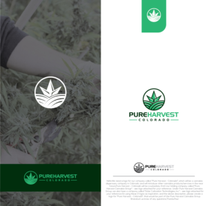 Logo Design by Deziners Zone for Solar Cultivation Technologies, Inc. ( SCT) | Design: #22205755