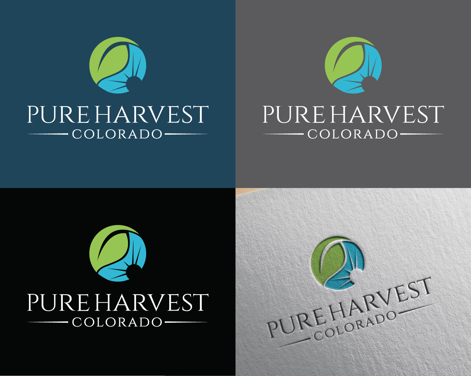 Logo Design by Atec for Solar Cultivation Technologies, Inc. ( SCT) | Design #22215034