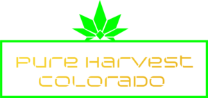 Logo Design by upworkboy73 for Solar Cultivation Technologies, Inc. ( SCT) | Design: #22253741