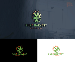Pure Harvest - Colorado | Diseño de Logo por step forward 2