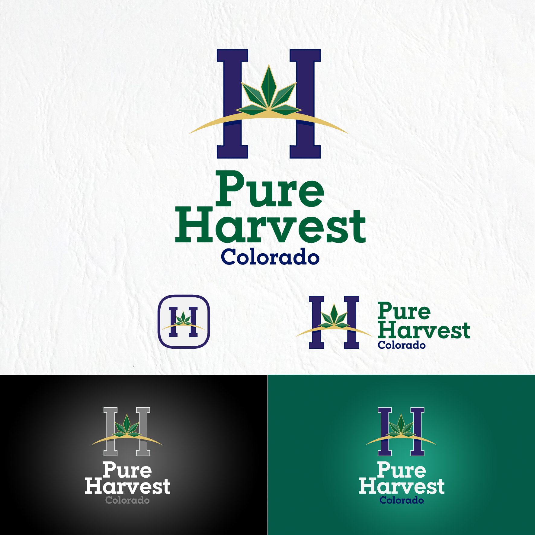 Logo Design by Homgraf Taller Grafico for Solar Cultivation Technologies, Inc. ( SCT) | Design #22247772