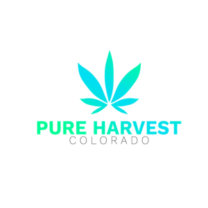 Logo Design by Drailer71728