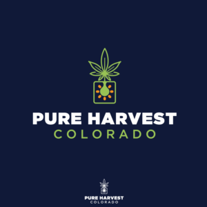 Logo Design by Paul creations