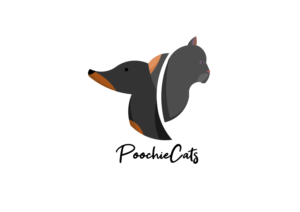 Mascot Design by Ancsa