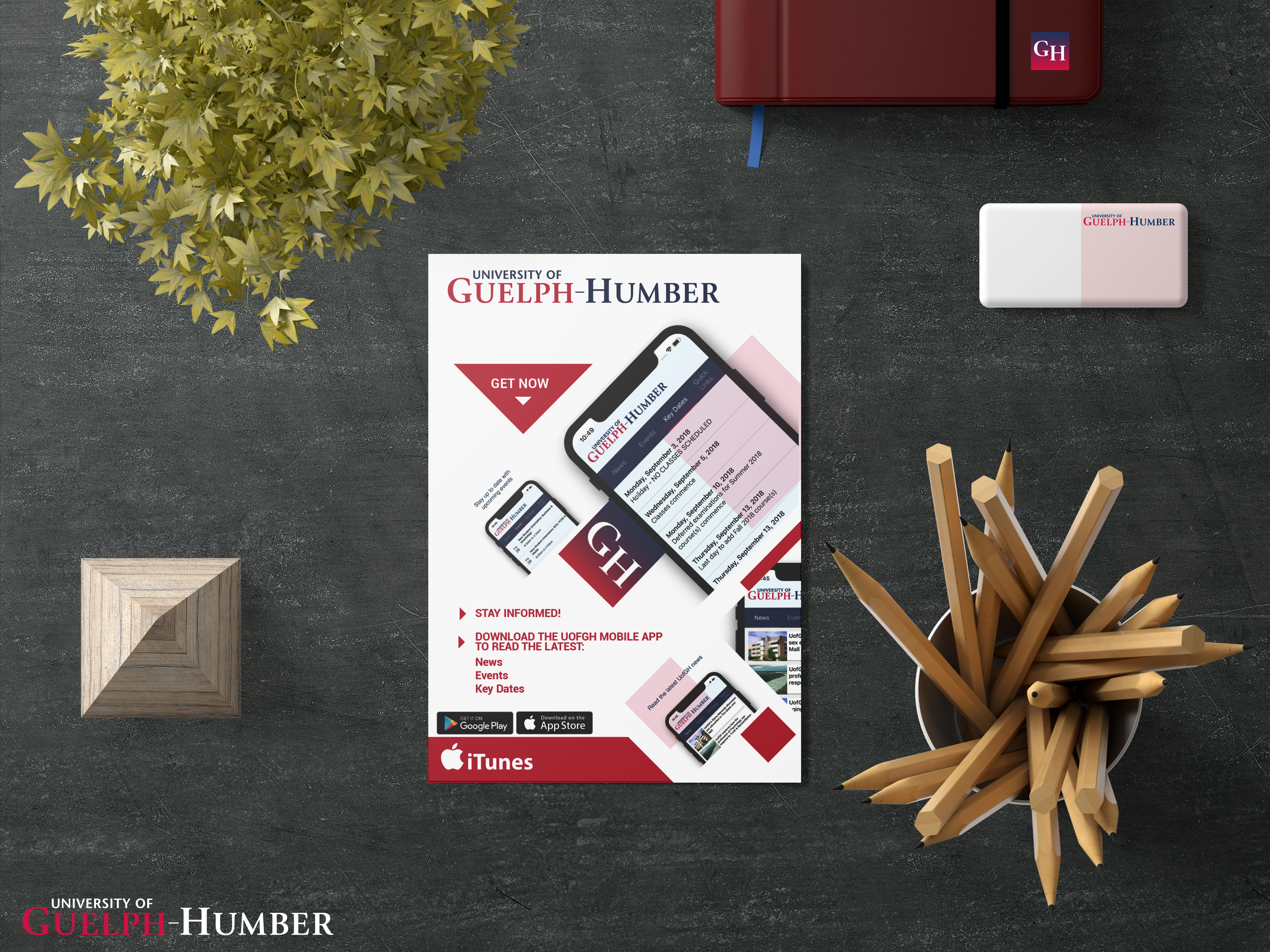 Design de Flyer par Ilieda 2 pour University of Guelph-Humber | Design #22234505