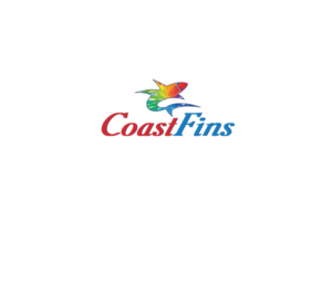 Logo Design by instudio for this project | Design: #22223319