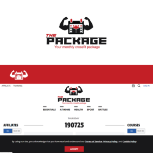 THE PACKAGE  | Logo Design by Graphic Bricks
