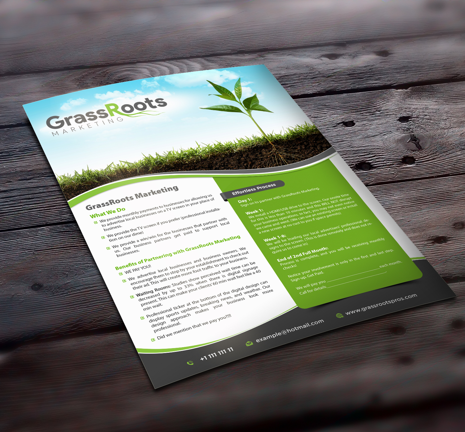 Flyer-Design von GraphicsGuru für dieses Projekt | Design: #22225739