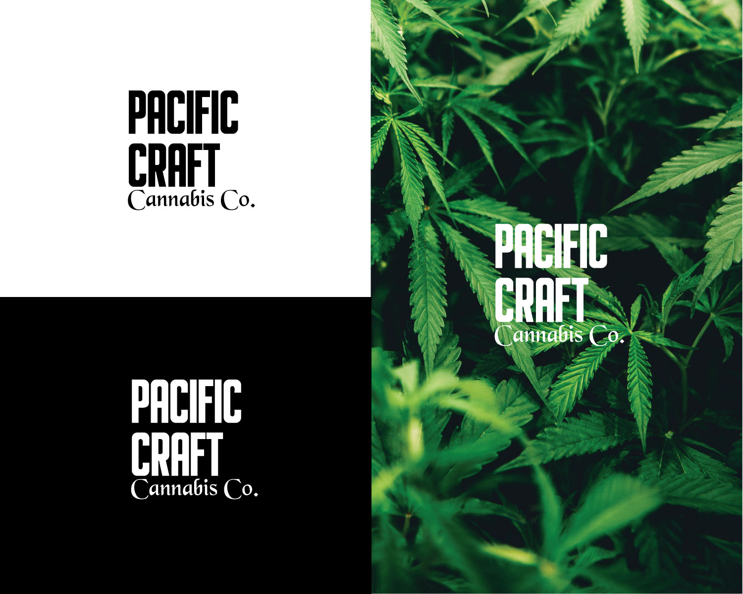 Logo Design by titanium wings for this project | Design #22226442