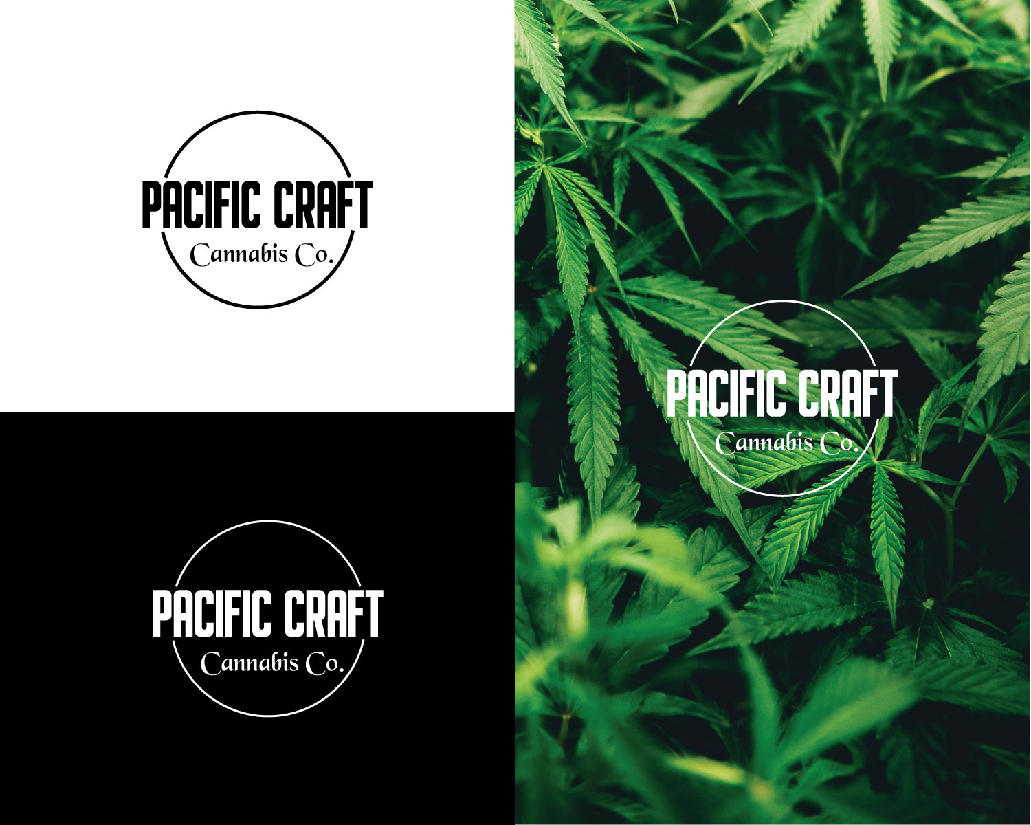 Logo-Design von titanium wings für dieses Projekt | Design #22226443