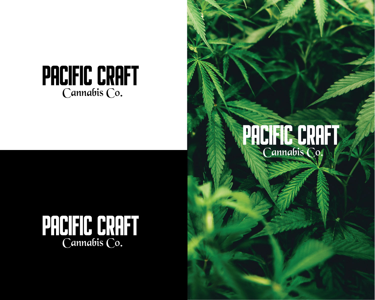 Logo Design by titanium wings for this project | Design #22226444