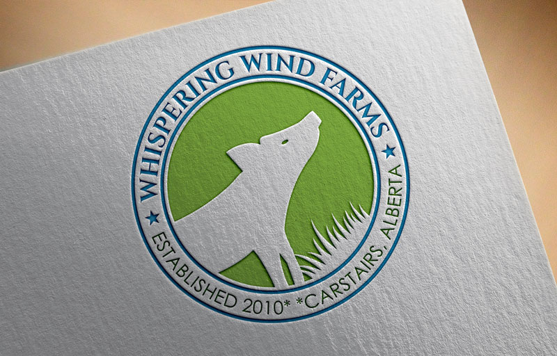 Logo Design by JAFRIN for this project | Design #22229015