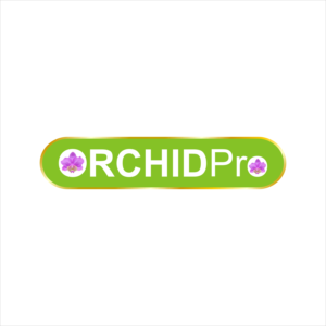 Logo Design by Nita Graphics