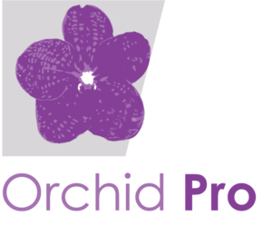 Logo Design by Sneham Basak for Strategenic, Inc. | Design: #22246243