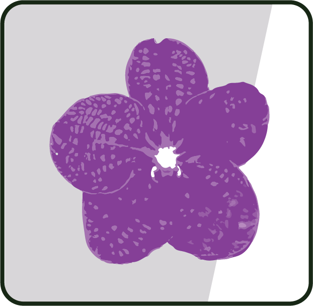 Logo Design by Sneham Basak for Strategenic, Inc. | Design #22246244