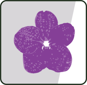 Logo Design by Sneham Basak for Strategenic, Inc. | Design: #22246244