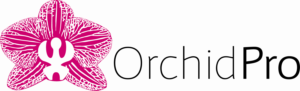 Logo Design by Anka
