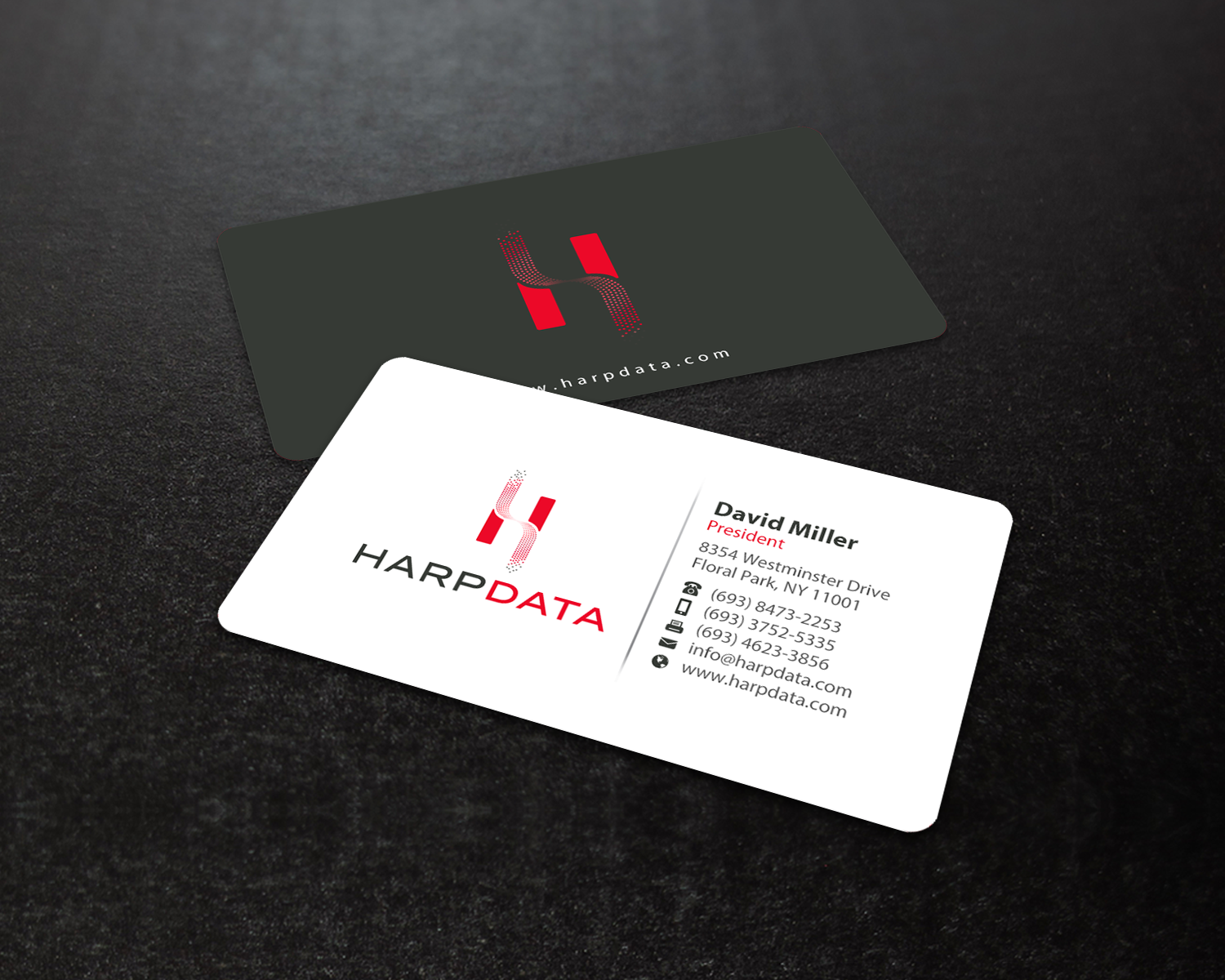 Business Card Design by chandrayaan.creative for HarpData | Design #22237751