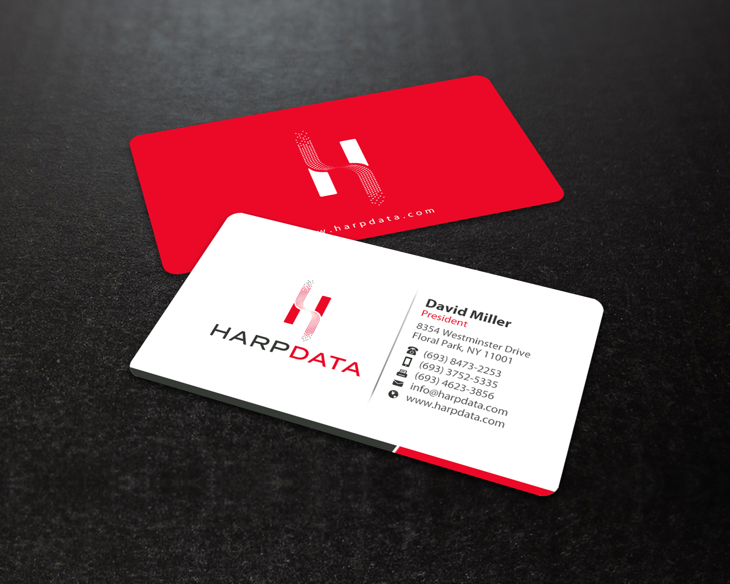 Business Card Design by chandrayaan.creative for HarpData | Design #22237752