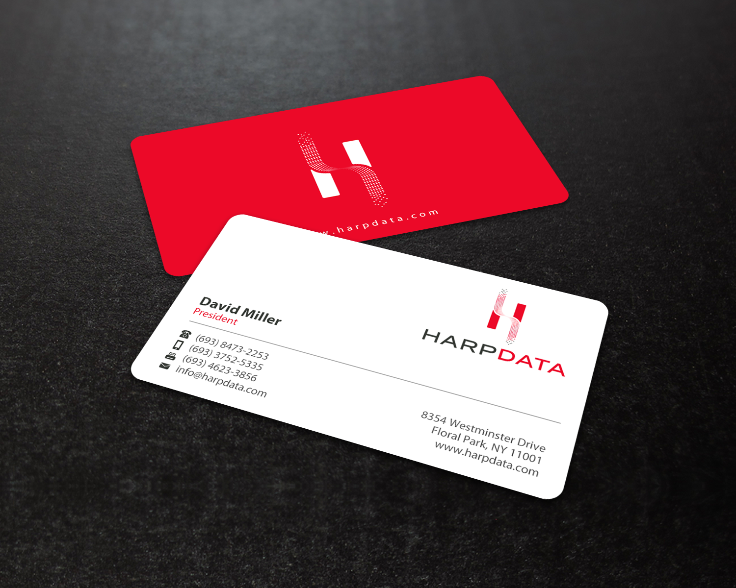 Business Card Design by chandrayaan.creative for HarpData | Design #22237755