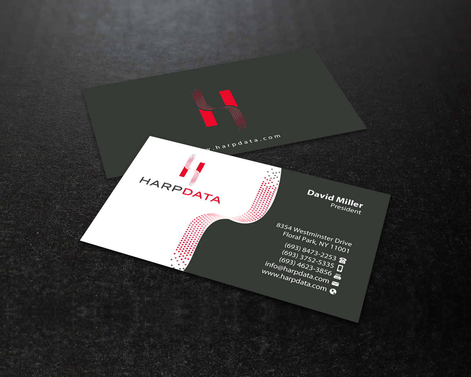 Business Card Design by chandrayaan.creative for HarpData | Design #22237766