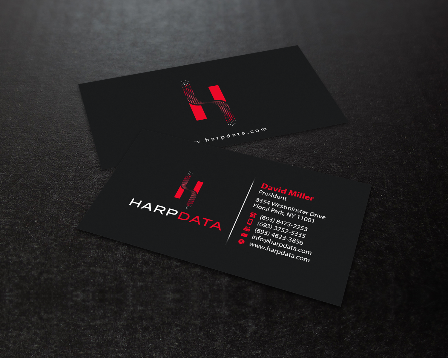 Business Card Design by chandrayaan.creative for HarpData | Design #22237769