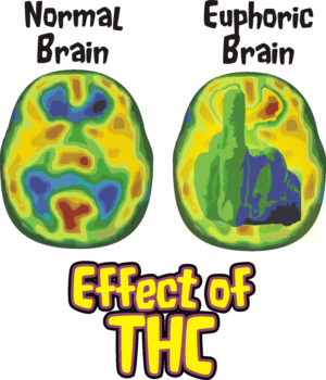 Effect of THC | T-shirt Design by ChrisMoon